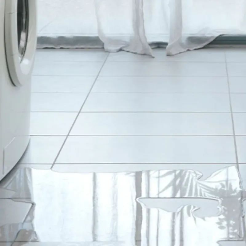 Appliance Leak Cleanup in McKee, KY