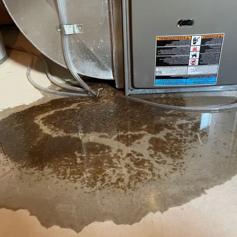 Pipe Burst and Leak Restoration in McKee, KY