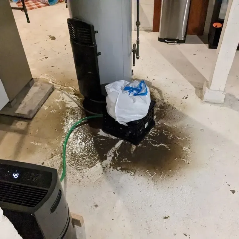 Sewage Backup Cleanup Service in McKee, KY
